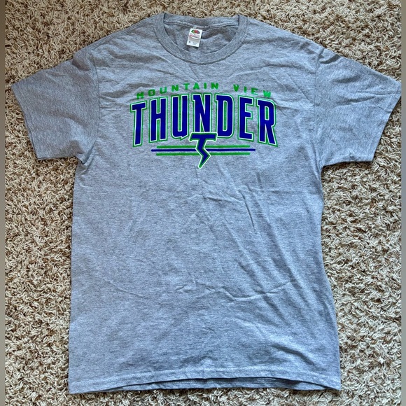 Fruit of the Loom Other - Men Fruit Of The Loom Gray Mountain View Thunder T-Shirt Size M